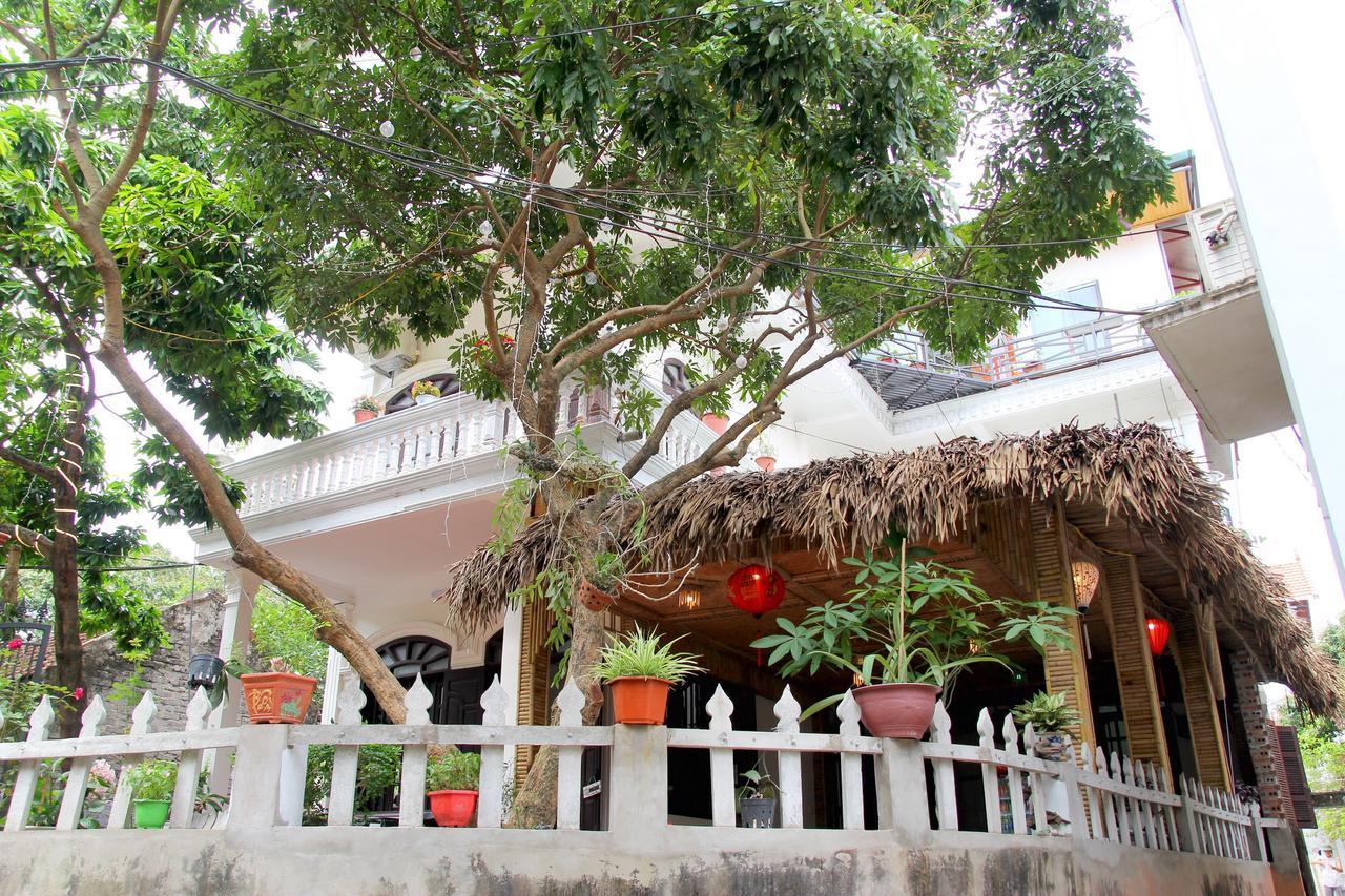 Tam Coc Dream Homestay Ninh Binh Exterior photo