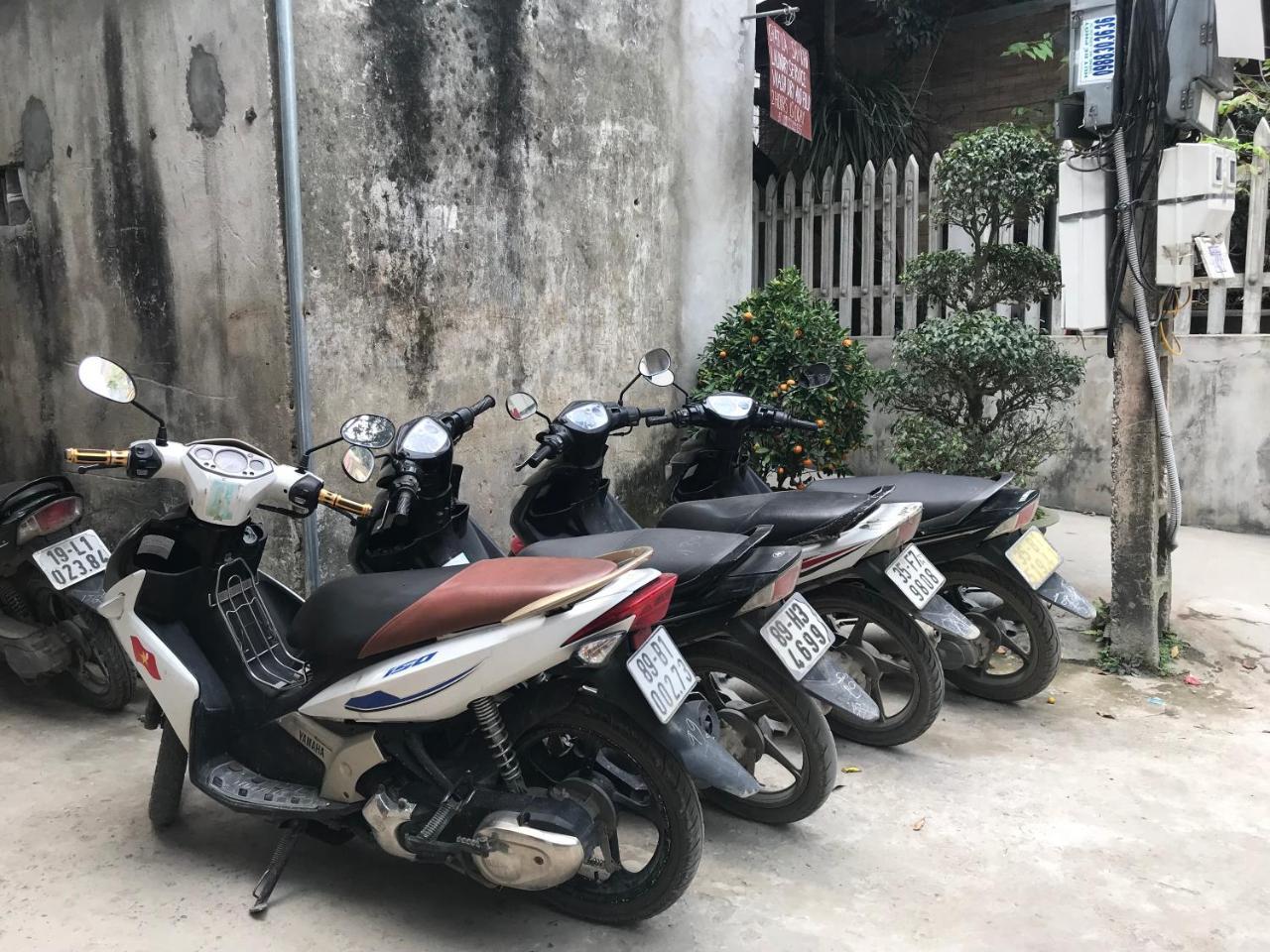 Tam Coc Dream Homestay Ninh Binh Exterior photo